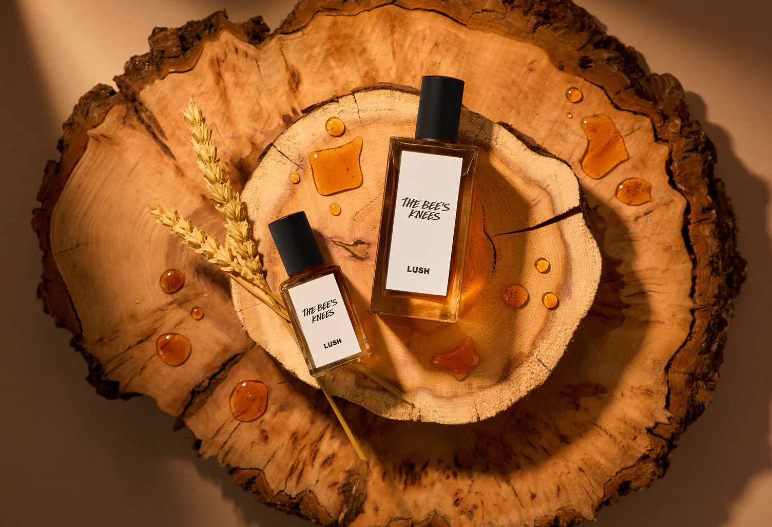 PERFUME LIBRARY
