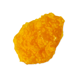 Ginger Shampoo